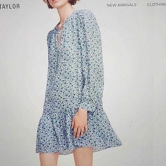 REBECCA TAYLOR DELFT FLEUR DRESS SIZE XS - Picture 1 of 4